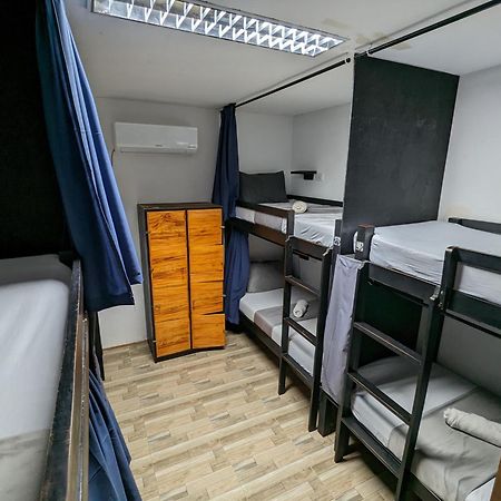 Crazy Bears Hostel 莫阿尔博阿 外观 照片