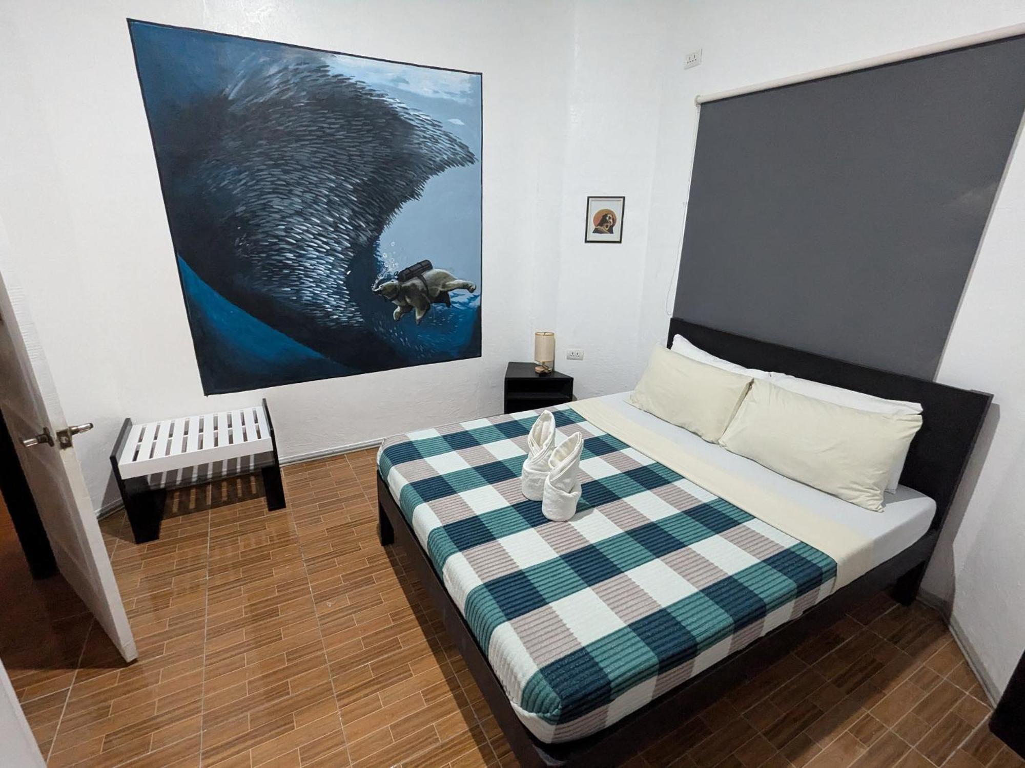Crazy Bears Hostel 莫阿尔博阿 外观 照片