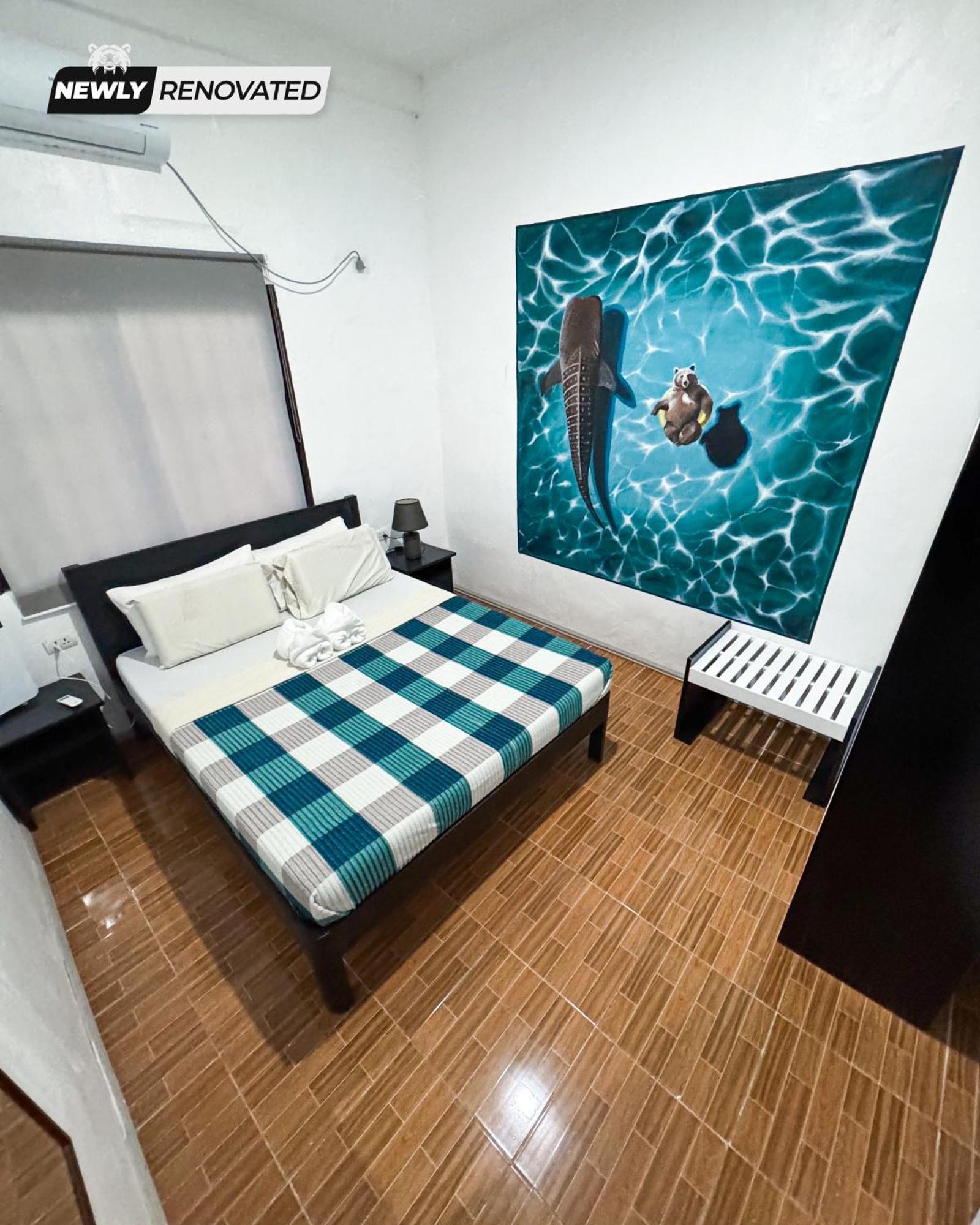 Crazy Bears Hostel 莫阿尔博阿 外观 照片