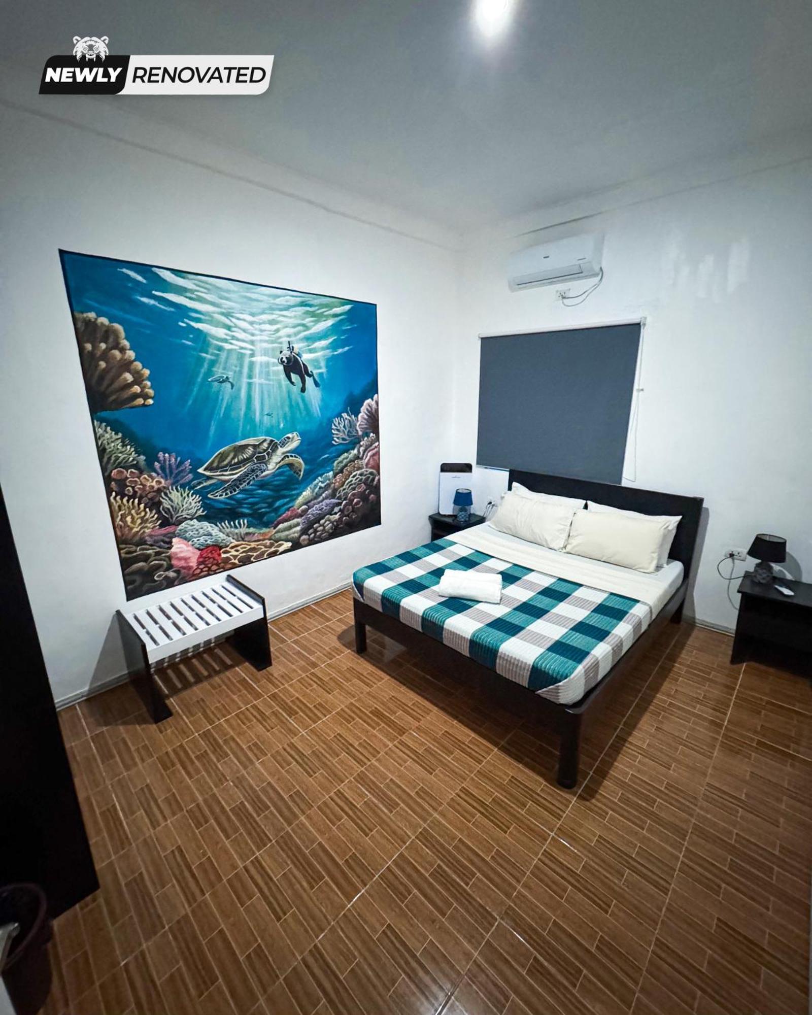 Crazy Bears Hostel 莫阿尔博阿 外观 照片