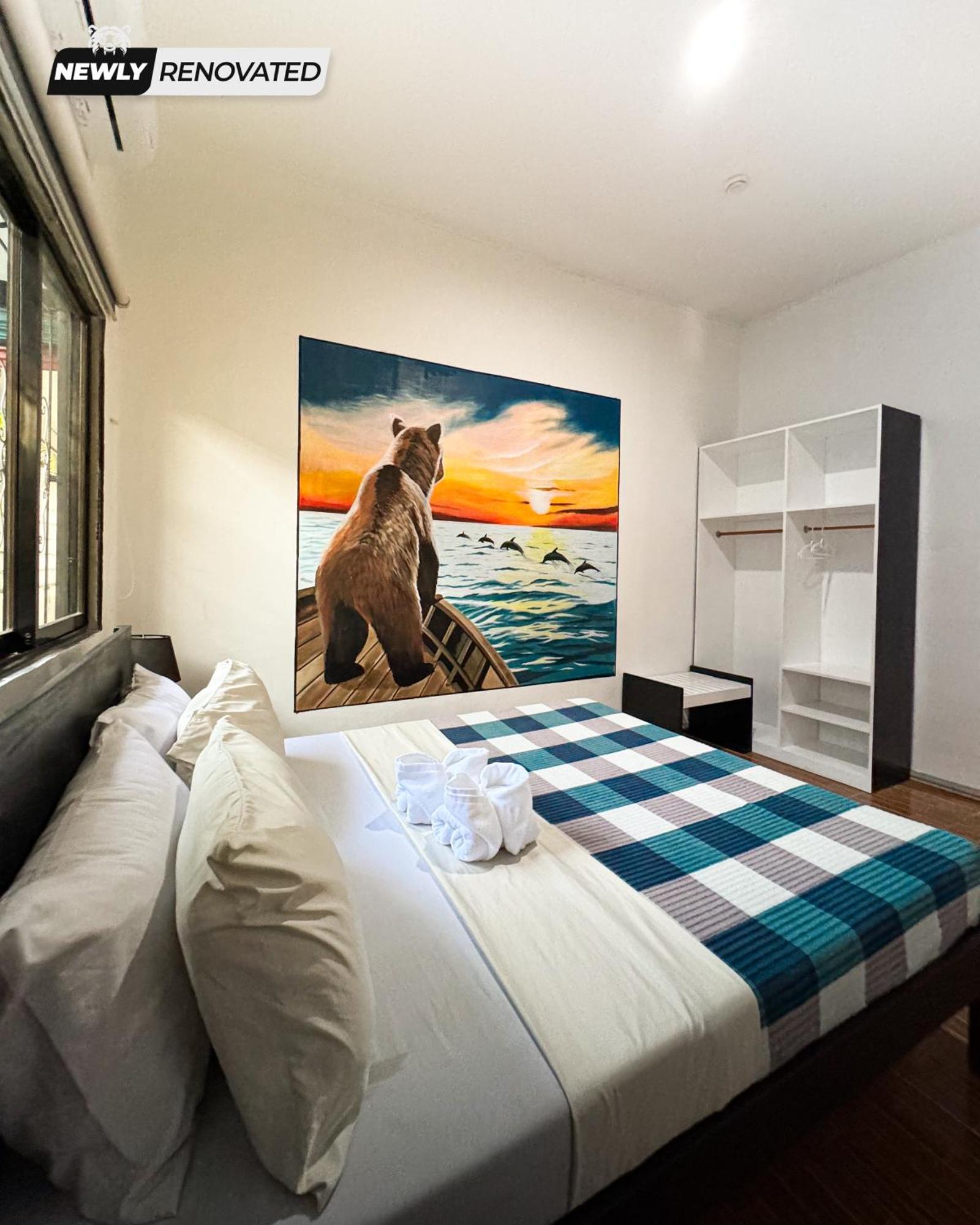 Crazy Bears Hostel 莫阿尔博阿 外观 照片