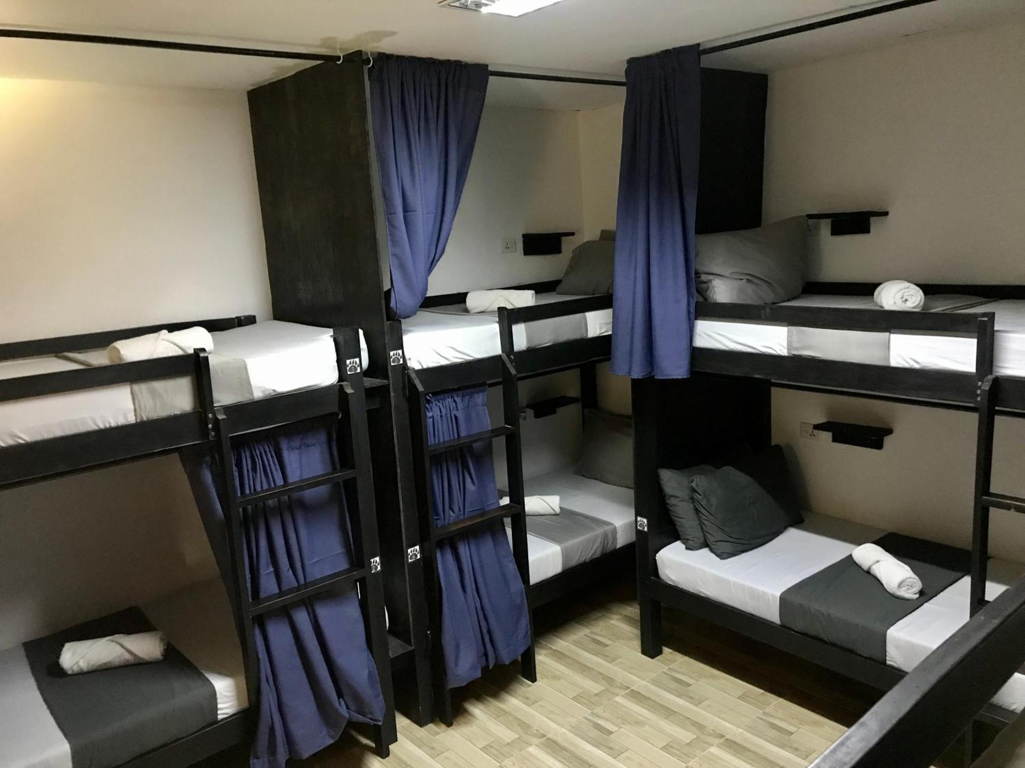Crazy Bears Hostel 莫阿尔博阿 外观 照片
