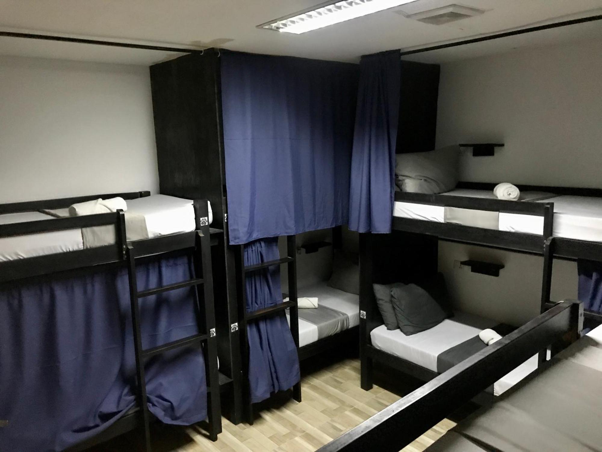 Crazy Bears Hostel 莫阿尔博阿 外观 照片