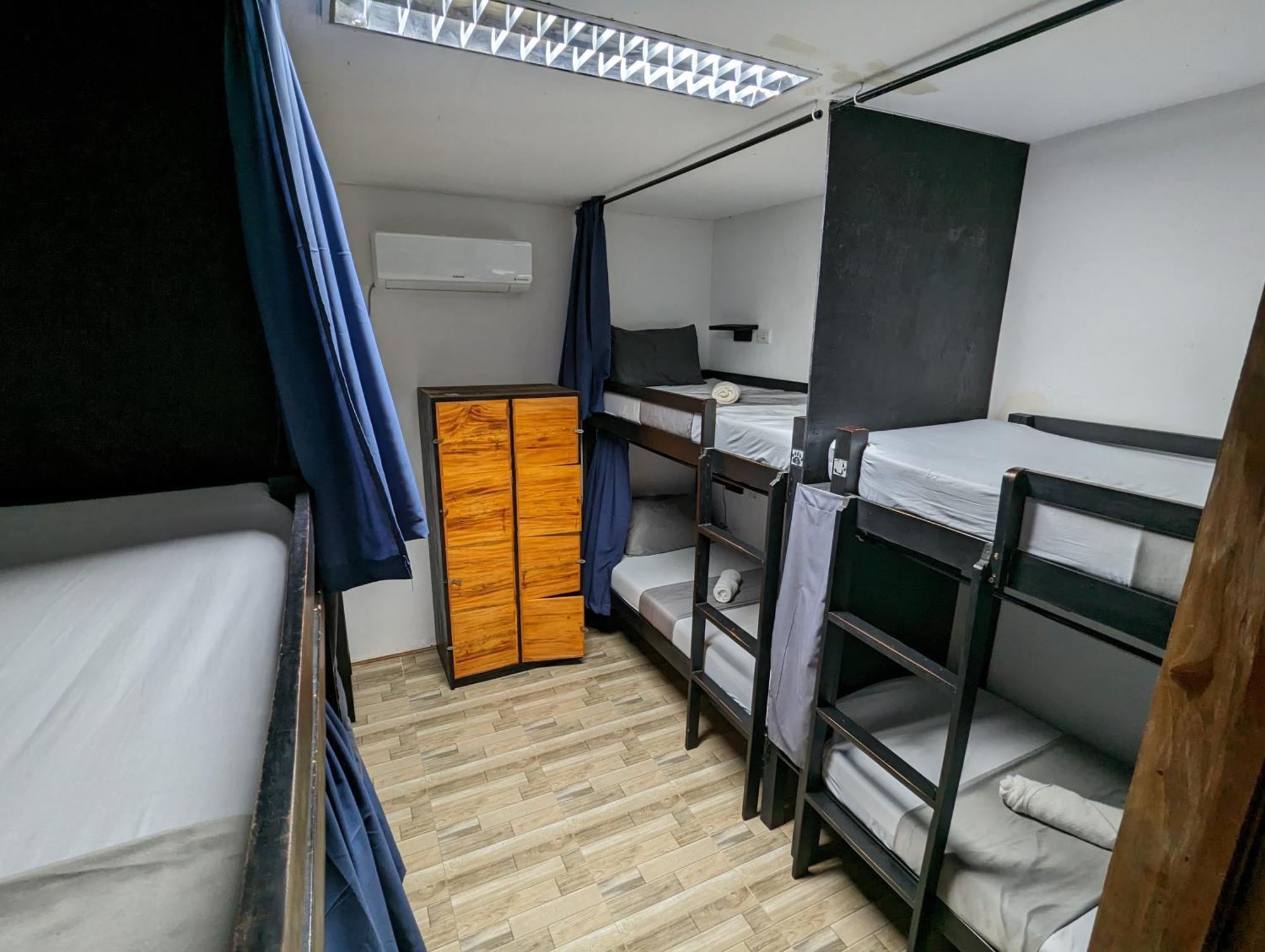 Crazy Bears Hostel 莫阿尔博阿 外观 照片