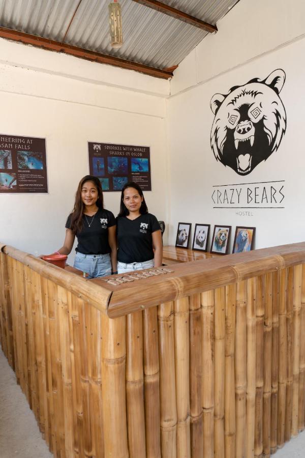 Crazy Bears Hostel 莫阿尔博阿 外观 照片