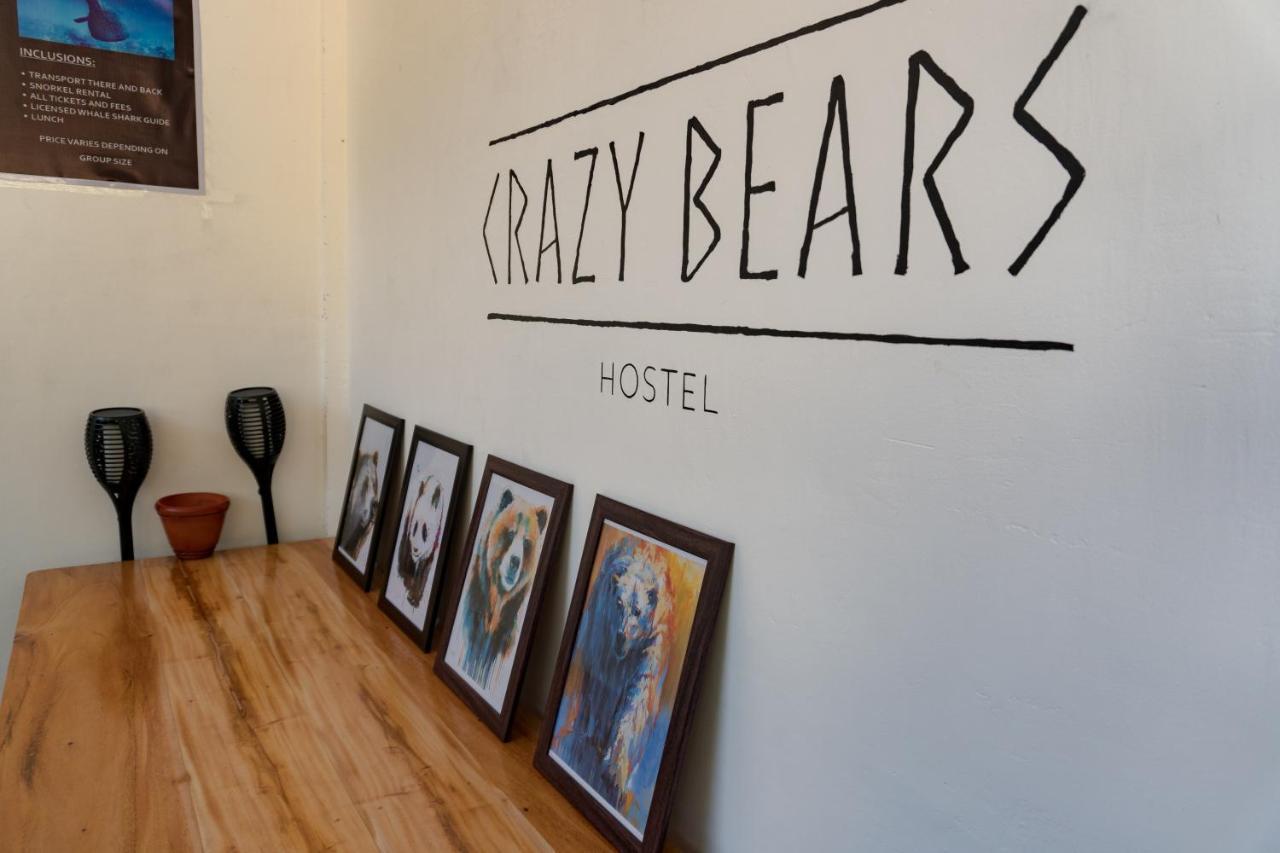 Crazy Bears Hostel 莫阿尔博阿 外观 照片