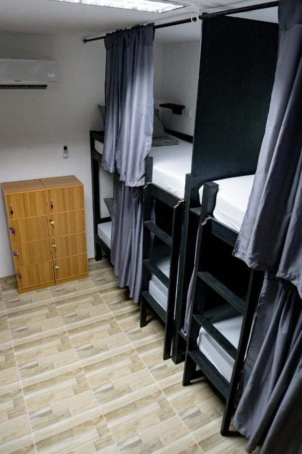 Crazy Bears Hostel 莫阿尔博阿 外观 照片