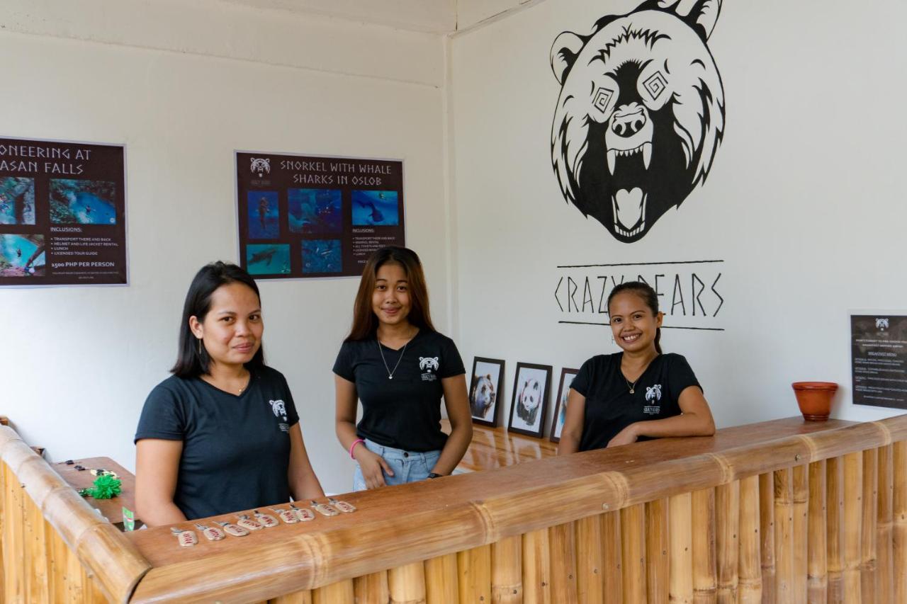 Crazy Bears Hostel 莫阿尔博阿 外观 照片